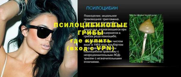 эйфоретик Алексеевка