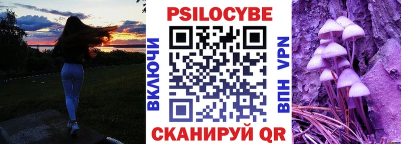 Галлюциногенные грибы прущие грибы Зеленоградск