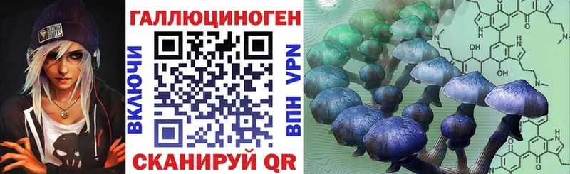Псилоцибиновые грибы GOLDEN TEACHER  Зеленоградск 